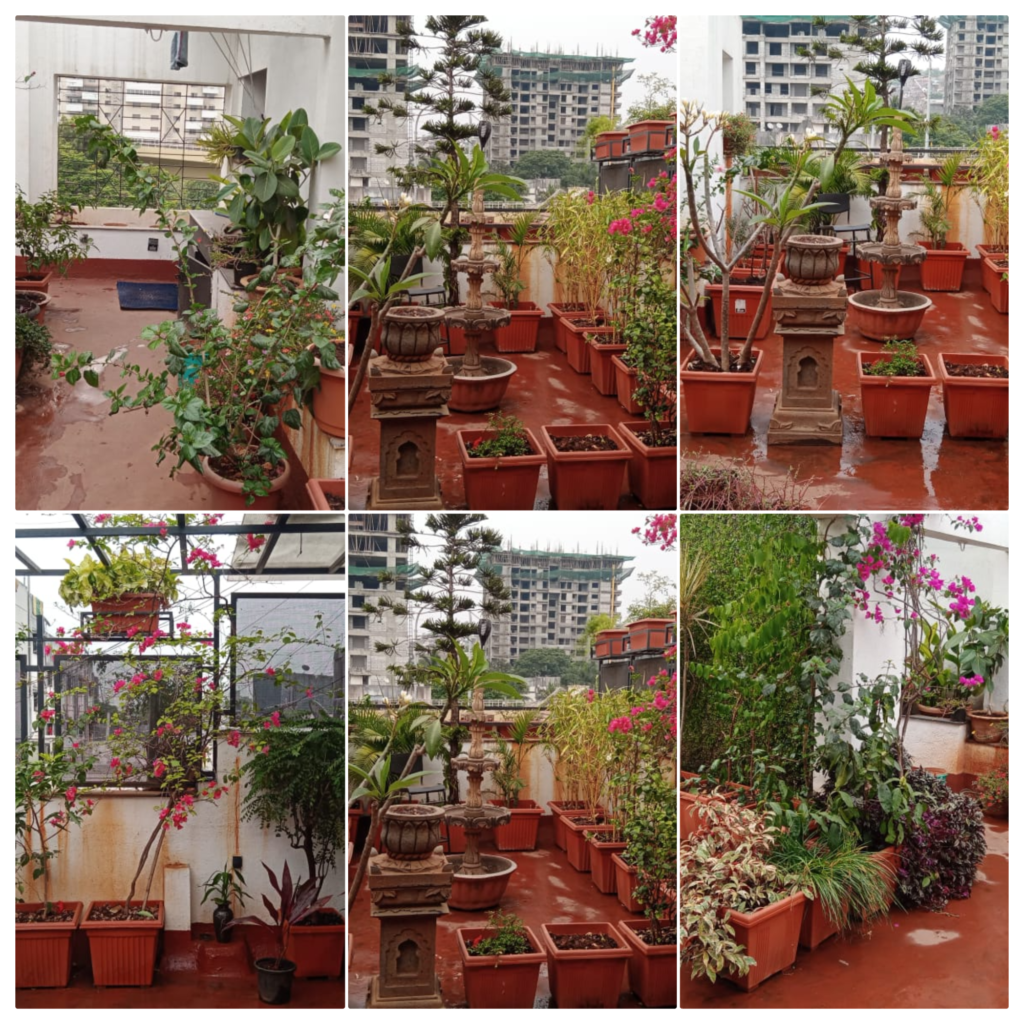 Affordable Gardening Services in Pune