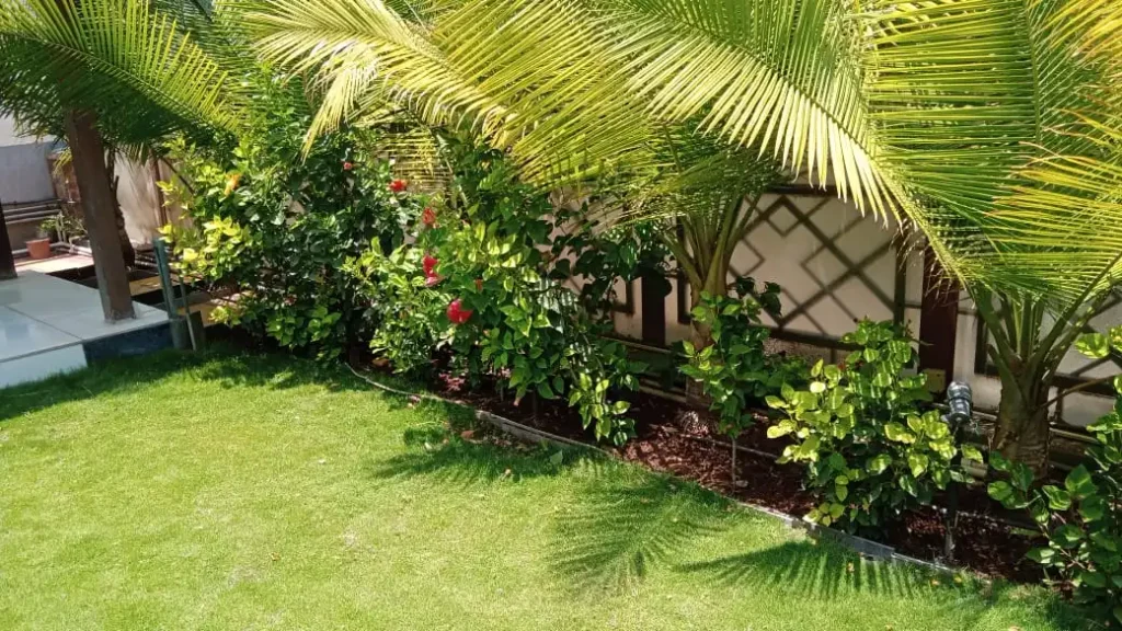 Garden Maintenance Services in Pune | Expert Care by Interioforest