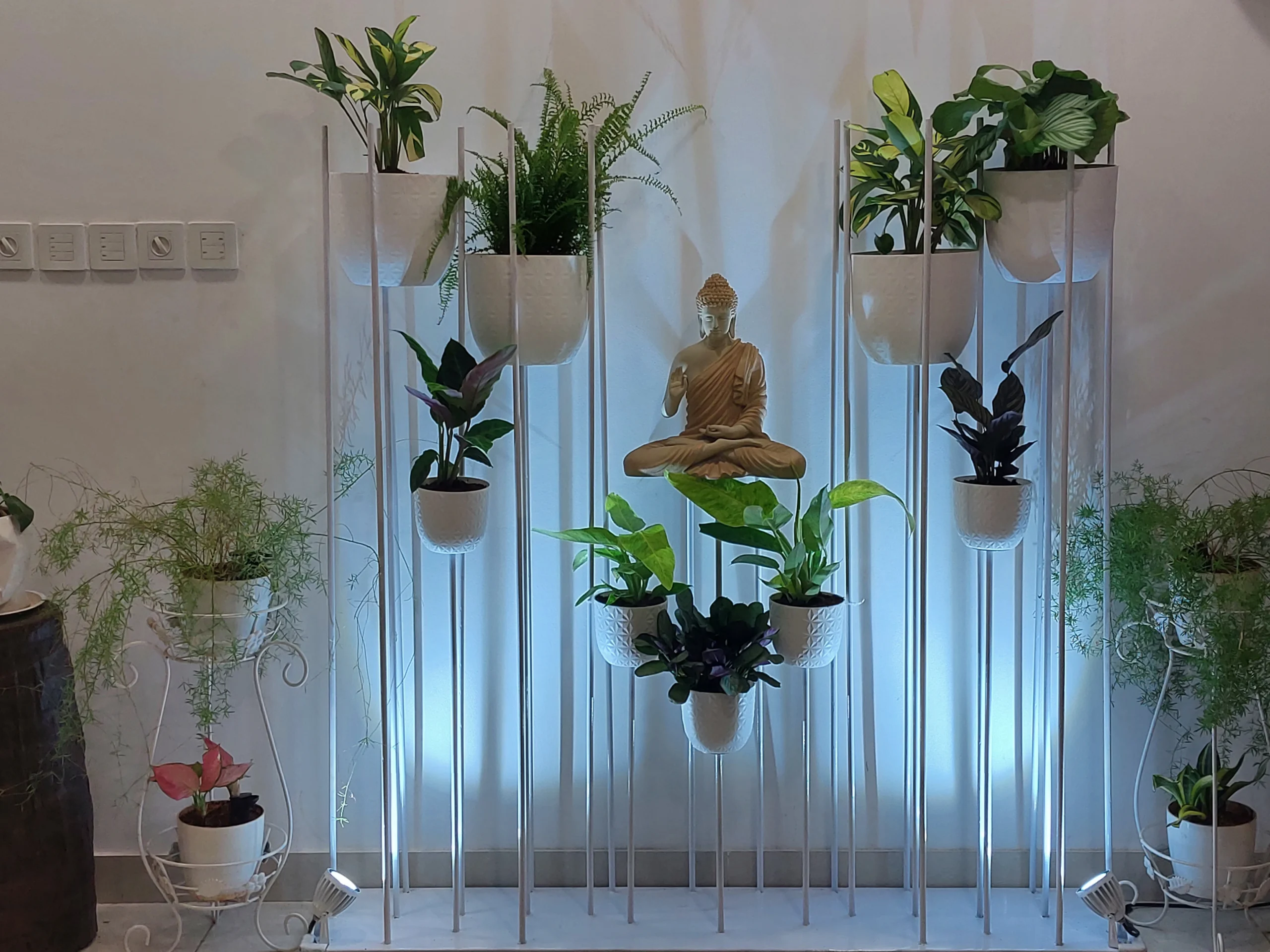 Indoor Plant Services in Pune