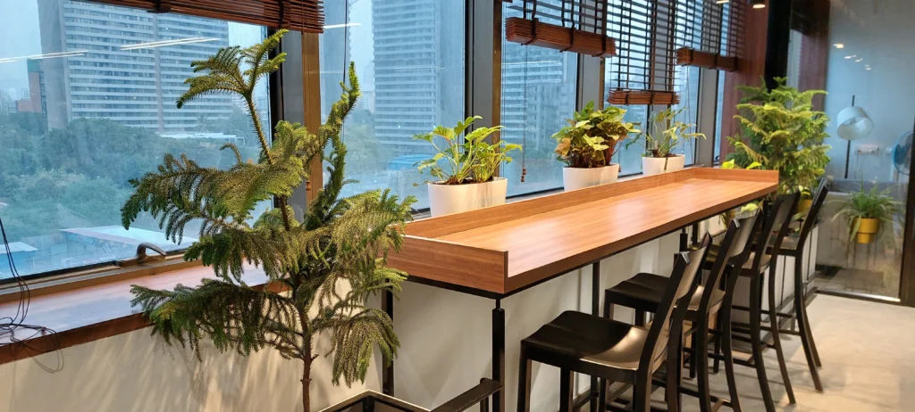 Scalable Corporate Gardening Solutions | Elevate Your Workspace with Interioforest