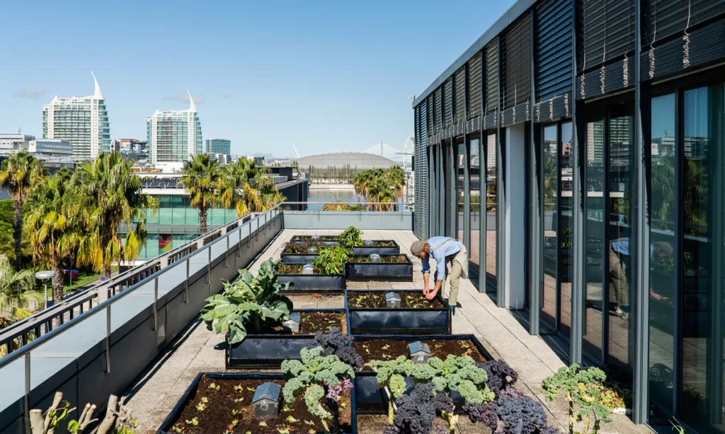 A Guide to Creating an Eco-Friendly Workspace with Corporate Gardening