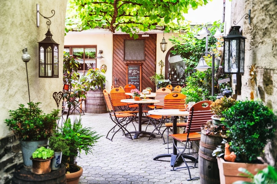 Plants are Essential for Your Restaurant’s Ambience