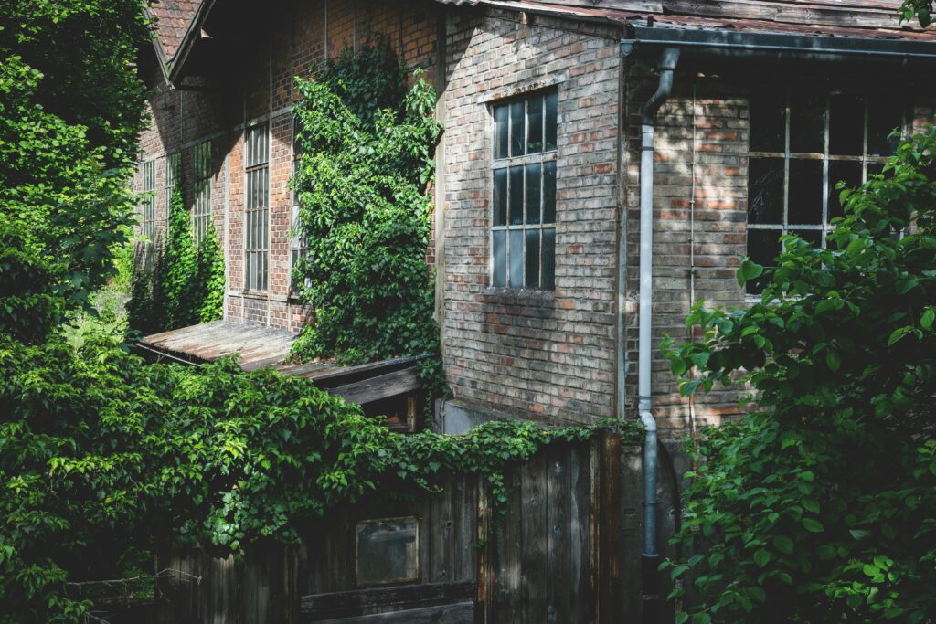 A rustic brick house with ivy-covered walls, surrounded by lush greenery and trees.