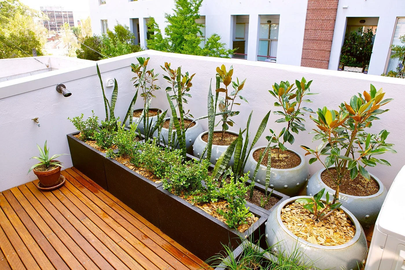 Small Roof Garden Design Ideas