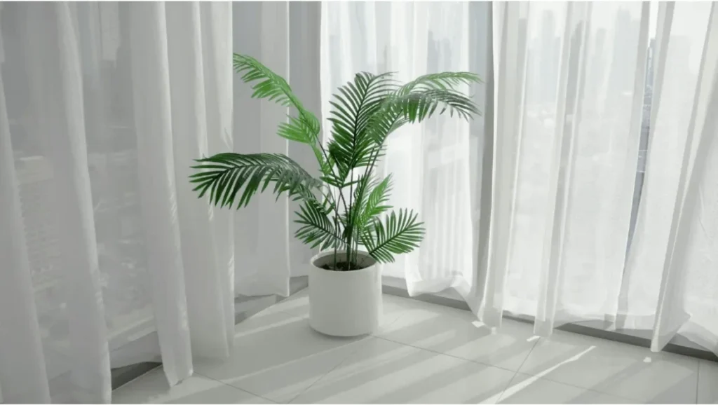 Top 10 Oxygen Rich Indoor Plants That Are Perfect for Your Office