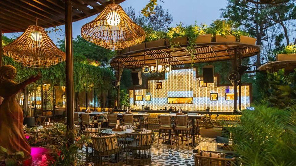 Essential Plant Care Products for Rooftop Restaurant Gardens