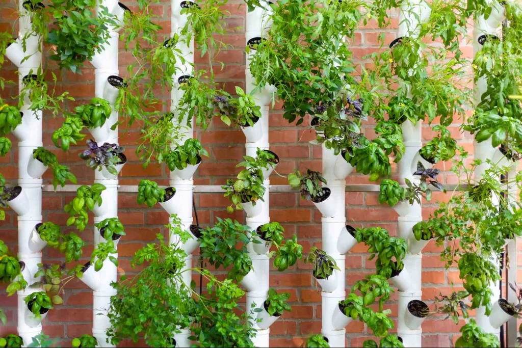 365 Days Flowering Plants in India for Vertical Garden Design
