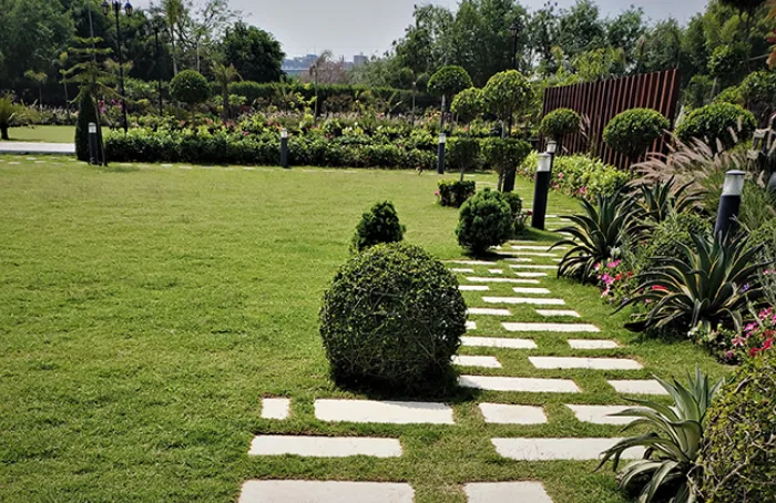 Transform Your Outdoor Space with Garden Landscaping Services in Pune