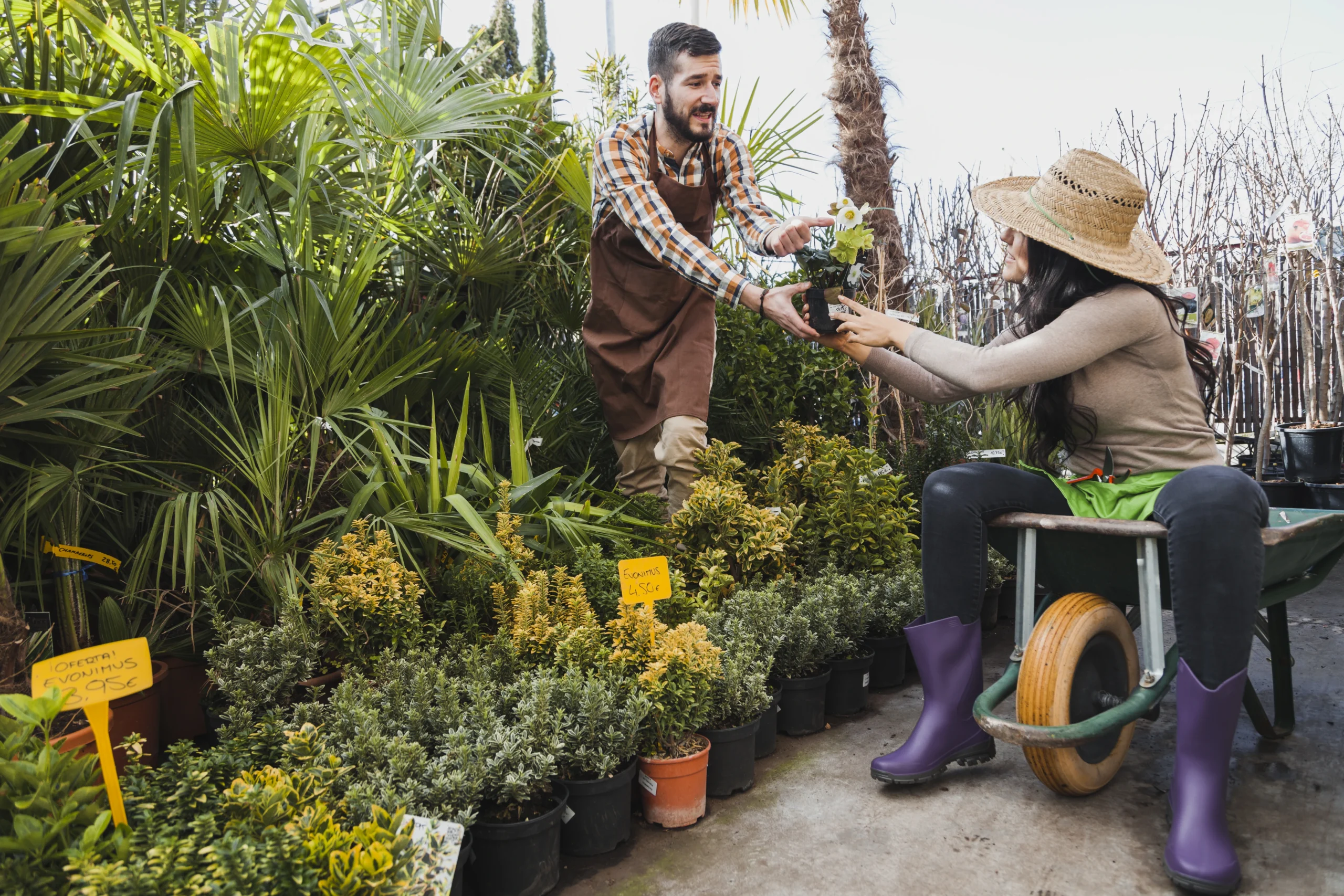 5 Questions to Ask Your Gardening Company in Pune