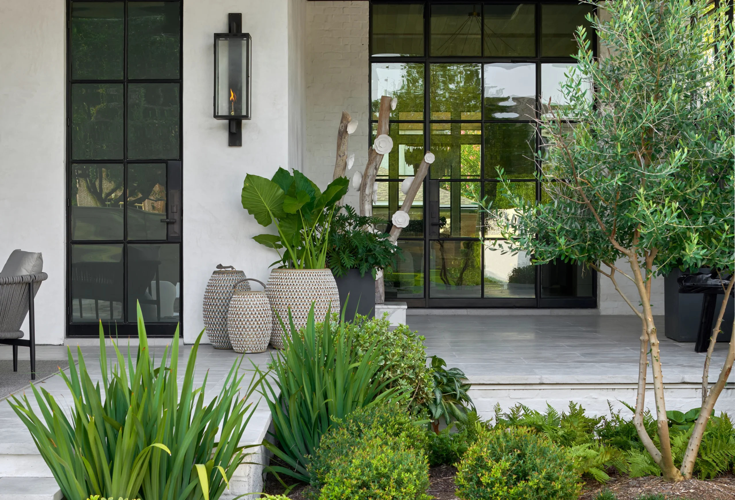 Transform Your Hotel Entrance: Best Trees to Plant Outside