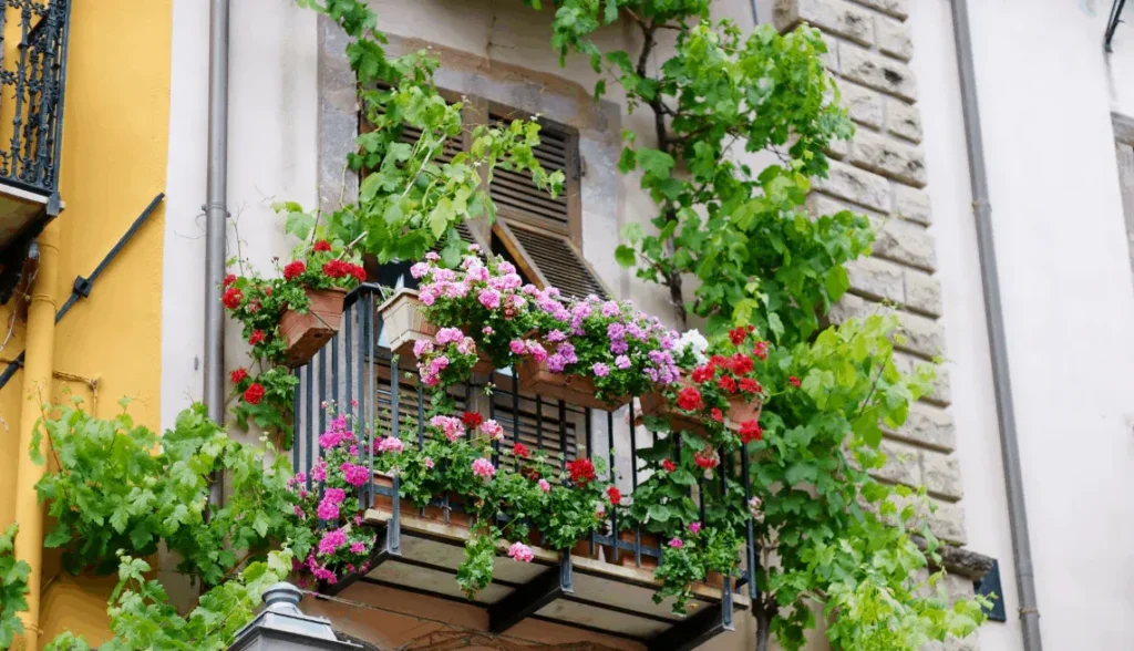 Climbing Plants for Balcony: Transform Your Space with Interioforest