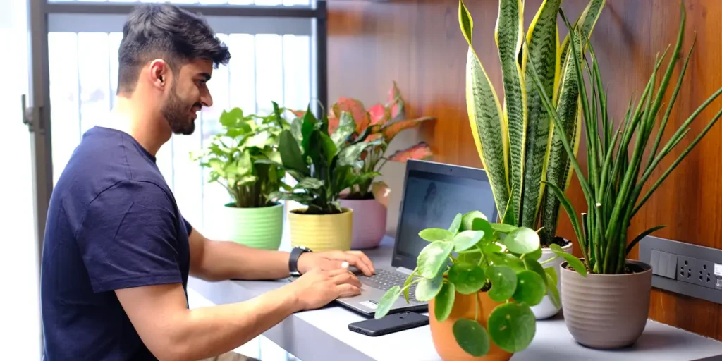 The Health Benefits of Having Indoor Office Plants