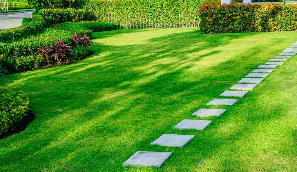 Which Grass is Good for a Lawn in India? Avoid These Mistakes