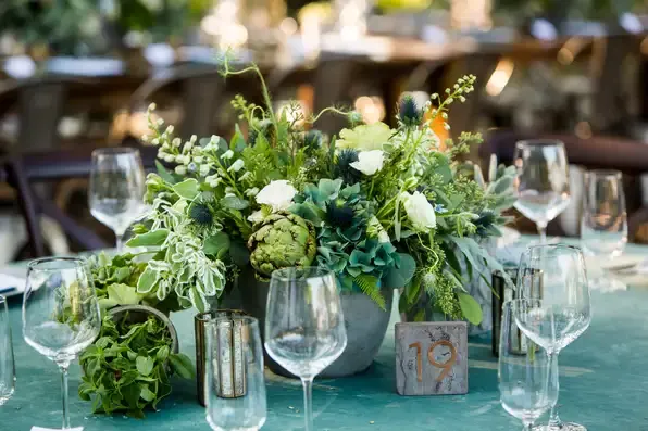 Add Elegance to Your Wedding with Succulent Pots on Rent