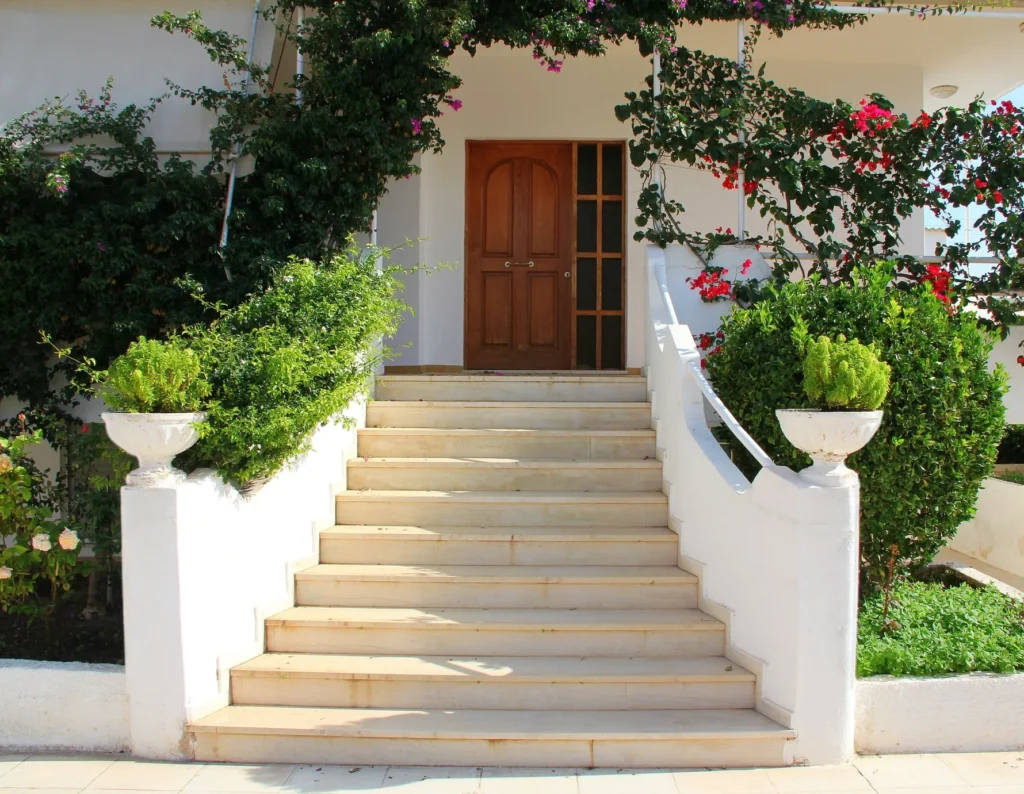 Which Plant is Good for Home Entrance? Top Picks for a Welcoming Vibe