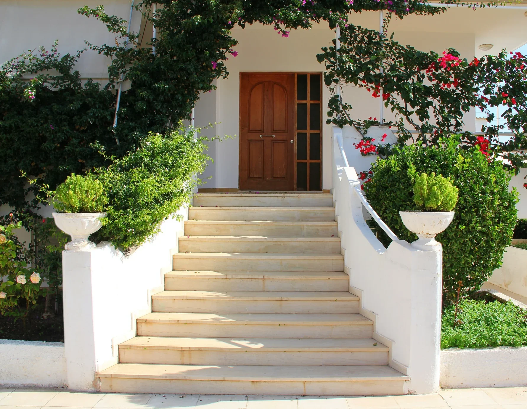 Which Plant is Good for Home Entrance? Top Picks for a Welcoming Vibe