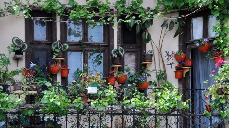 How to Choose the Right Plant Stands for Balcony Gardening