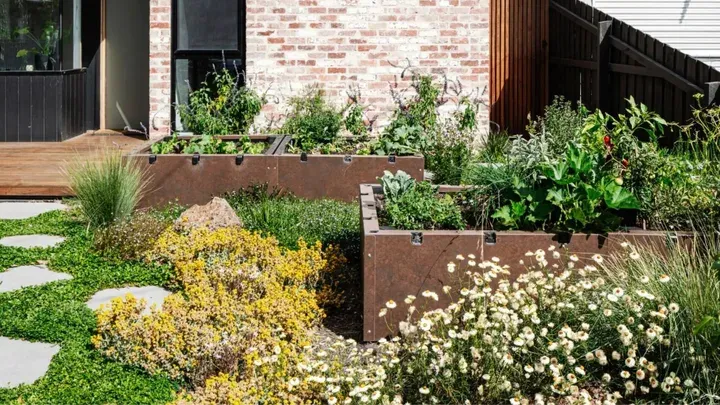 10 Best Plants for Garden