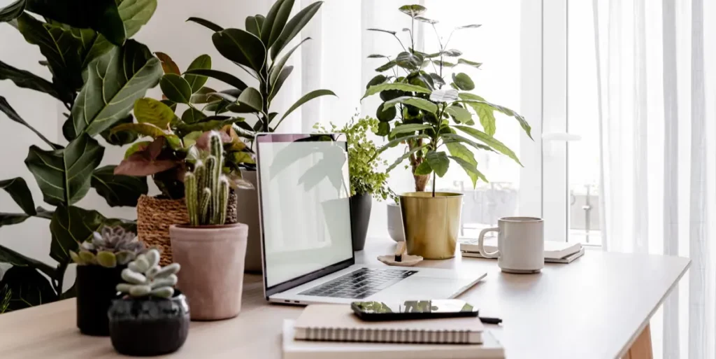How to Choose the Right Tabletop Plants for Office Desks