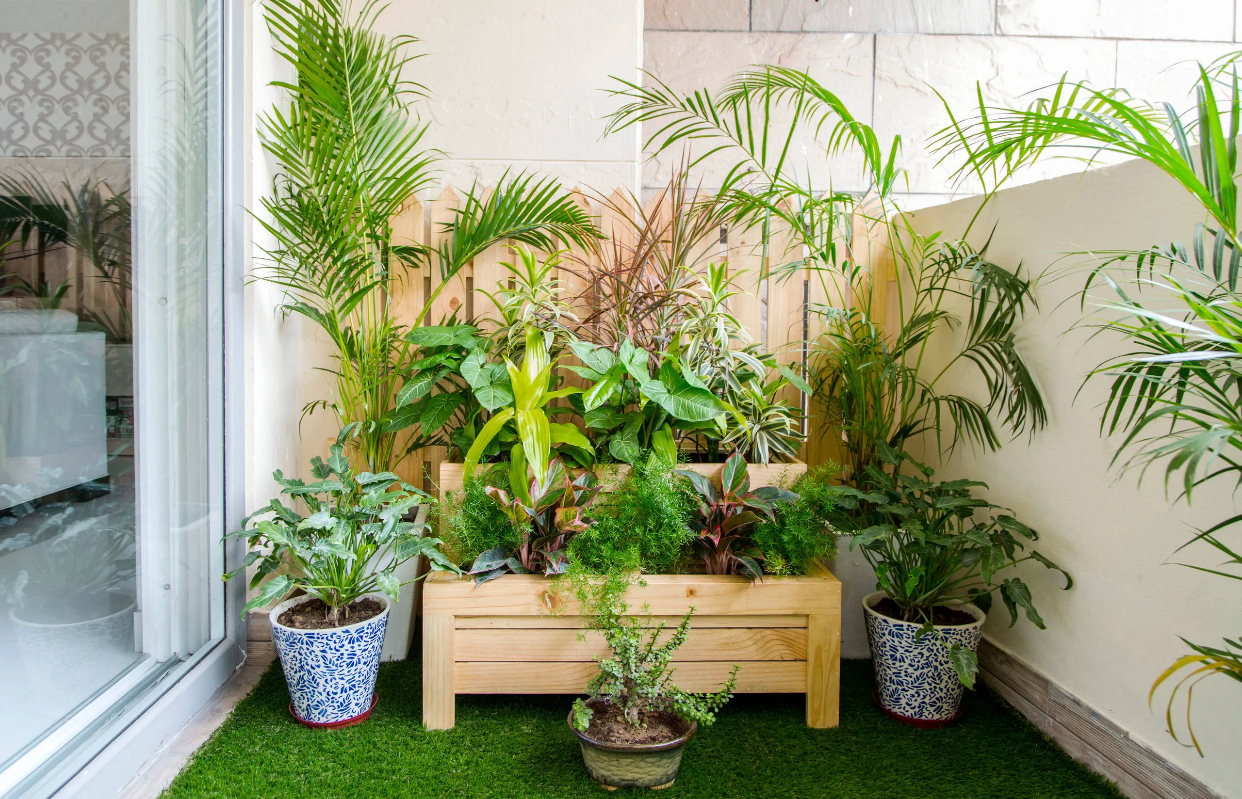 How to Choose the Perfect Plant for Balcony in Pune