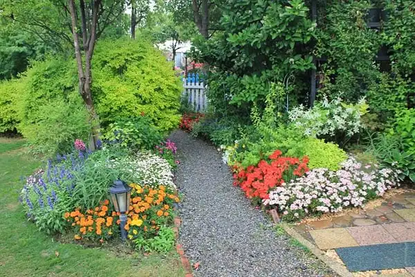 Plants for Garden: Create a Lush Backyard