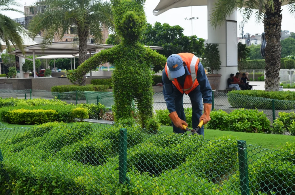 Expert Gardening Services in Pune | 7 Key Reasons