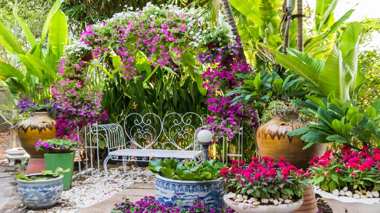 Decorative Plants for Garden: 7 Styling Ideas to Transform Your Outdoor Space