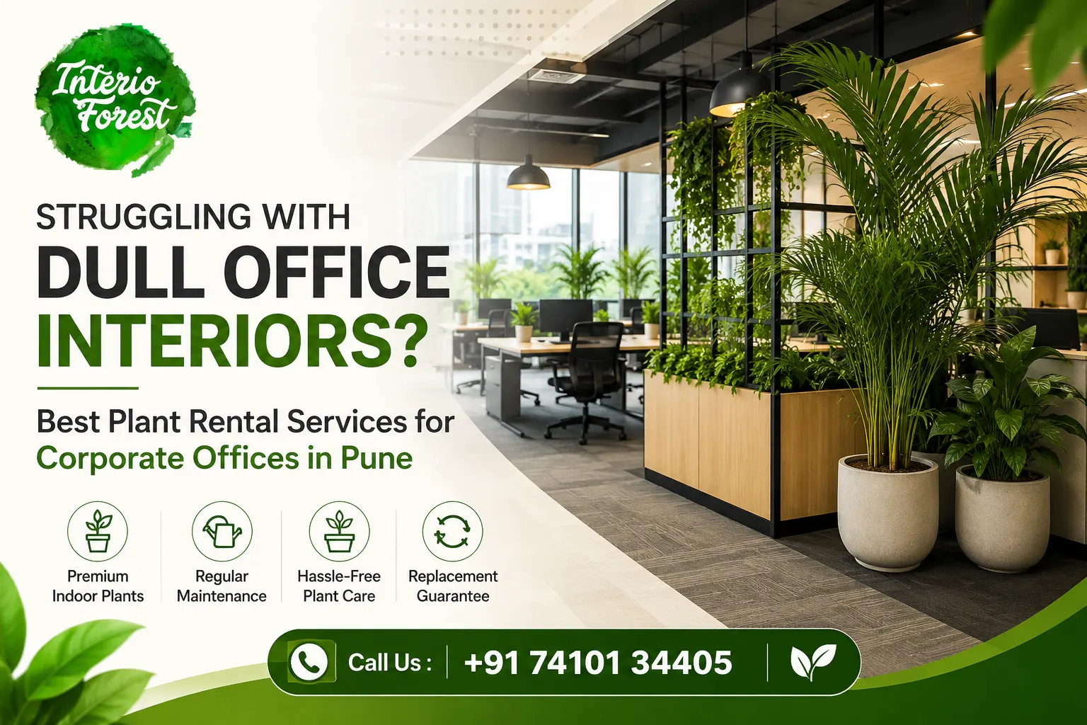 Plant Rental Services for Corporate Offices Pune