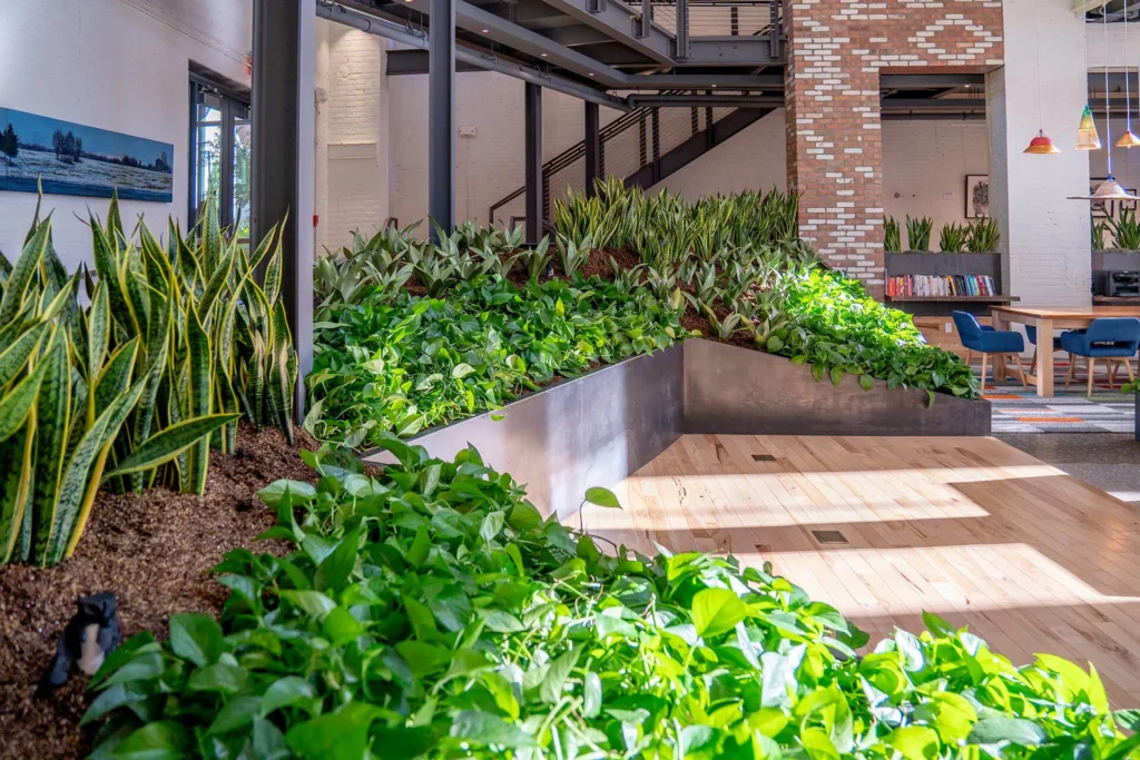 Office Plantscaping Services in Pune for Innovative Green Office Solutions