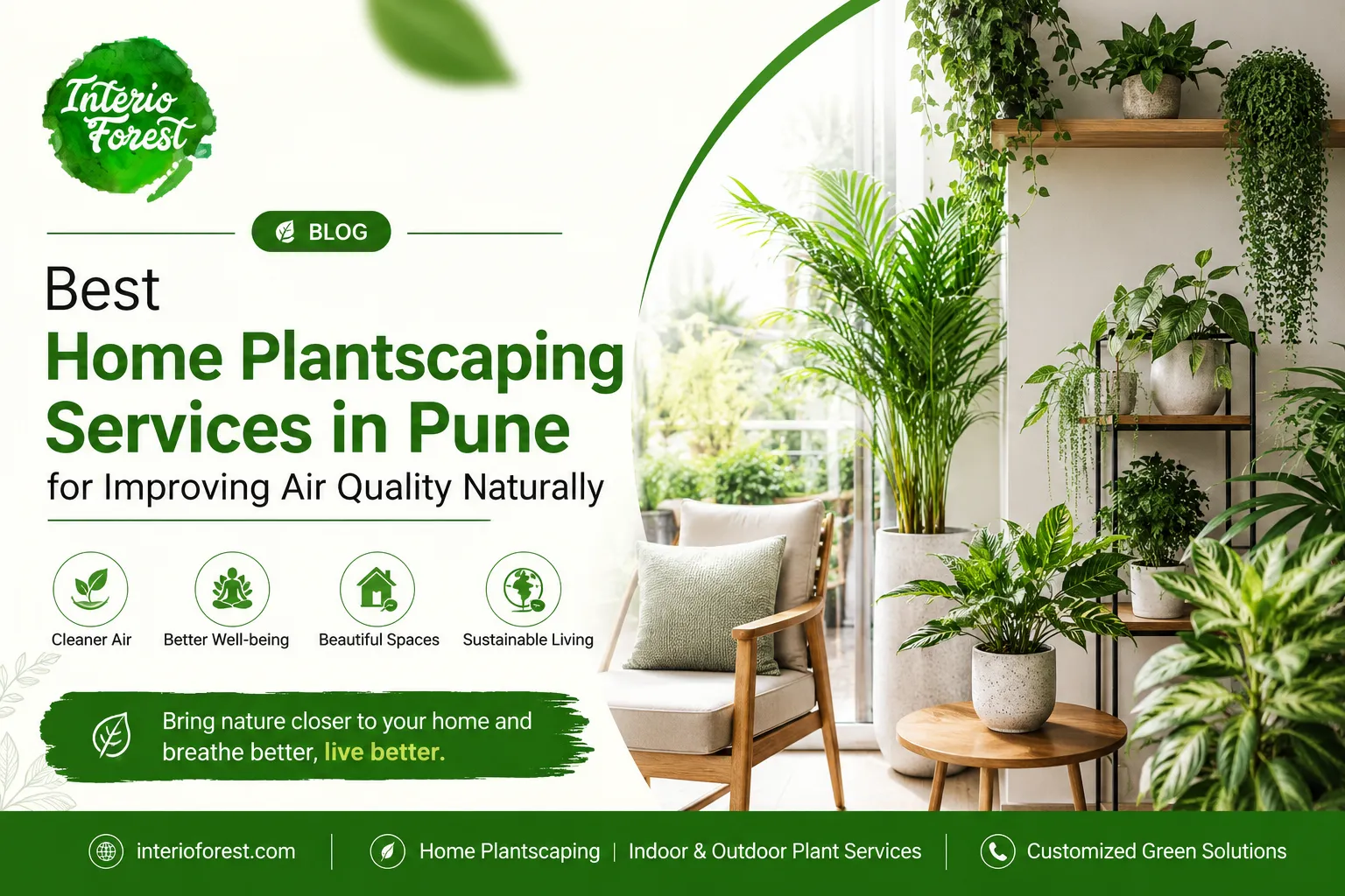 Best Home Plantscaping Services in Pune for Improving Air Quality Naturally