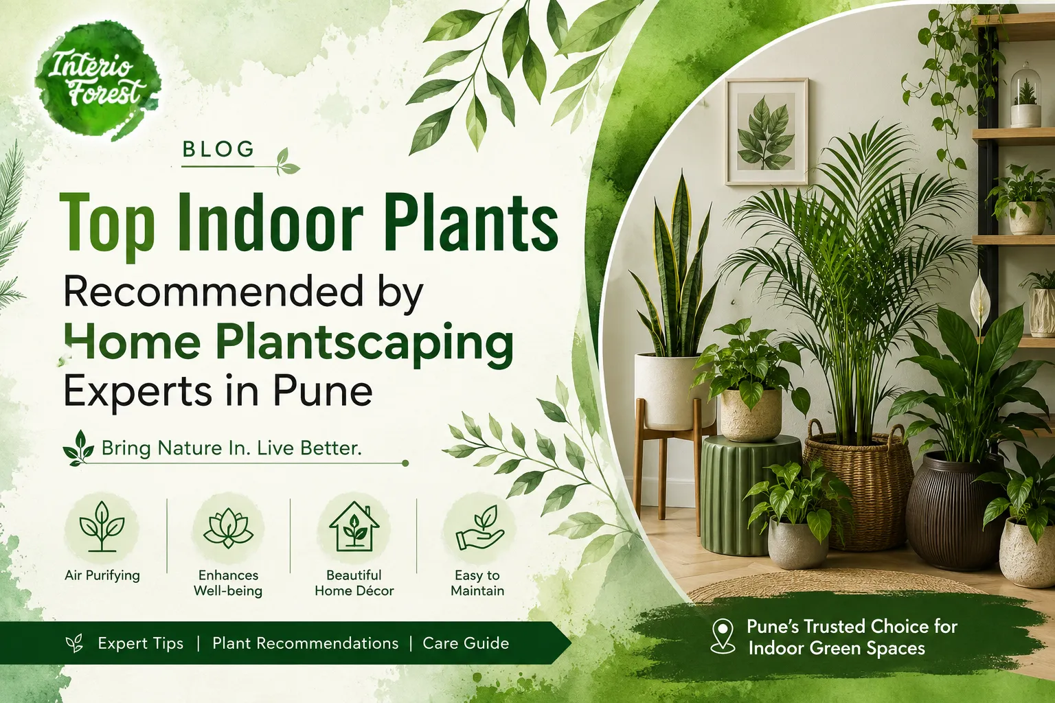 Top Indoor Plants Recommended by Home Plantscaping Experts in Pune