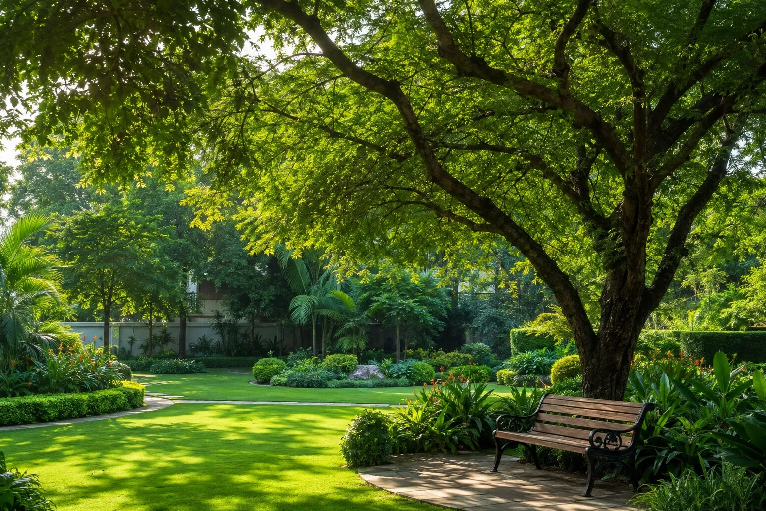 10 Shade Trees in India for Better Landscaping Services