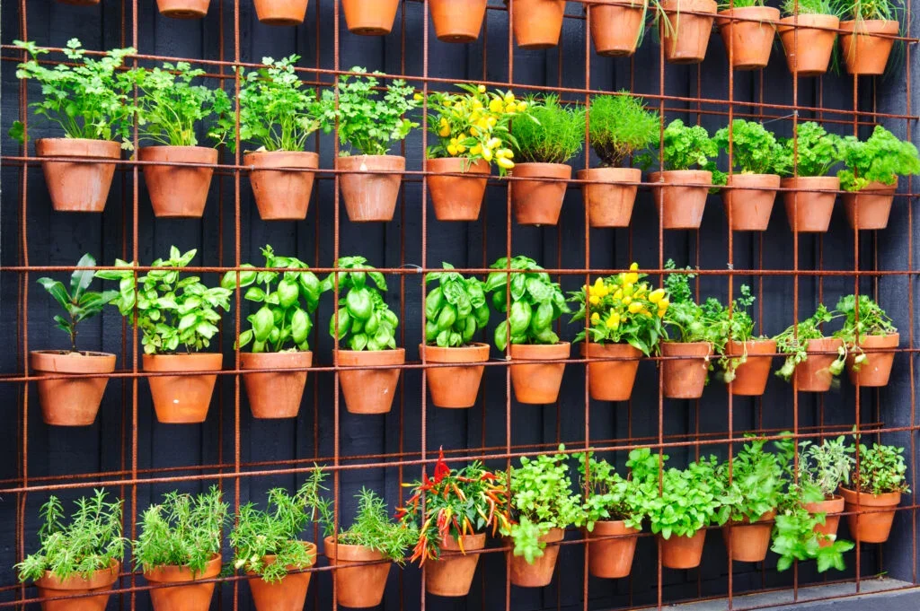 Vertical Garden Installation in Pune for Restaurants