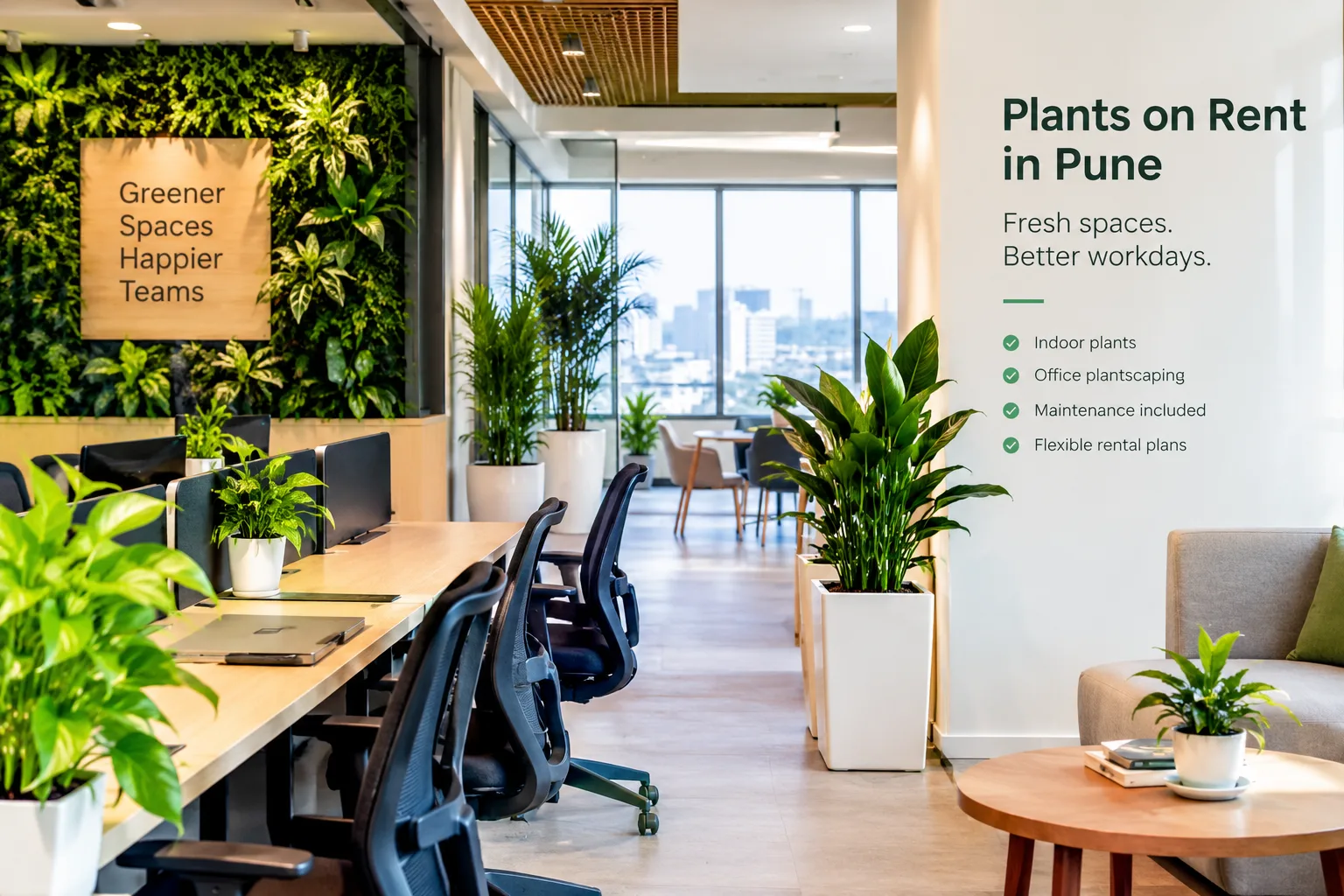 Plants on Rent in Pune: Why Offices Are Renting Greenery Instead of Buying